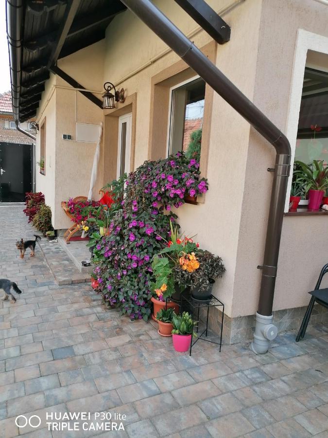 Hotel Rasnov Retreat Exterior foto