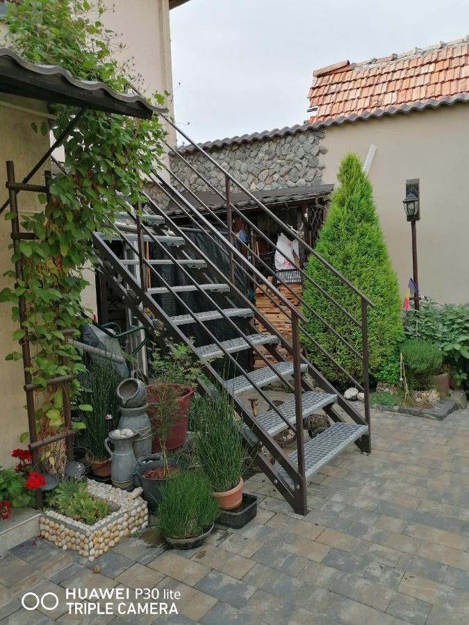 Hotel Rasnov Retreat Exterior foto